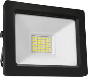 "Omega" LED prožektorius 30W 4200K (43861)