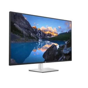 DELL UltraSharp U4323QE, 109,2 cm (43"), 3840 x 2160 taškų, 4K Ultra HD, LCD, 8 ms, sidabrinės spalvos