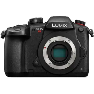 Panasonic Lumix DC-GH5S Body