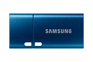 SAMSUNG USB Type-C 256GB 400MB/s USB 3.1 atmintinė