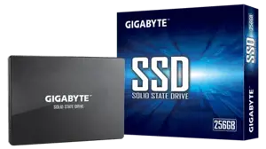 SSD diskas GIGABYTE GP-GSTFS31256GTND 256 GB, 2.5", Serial ATA III