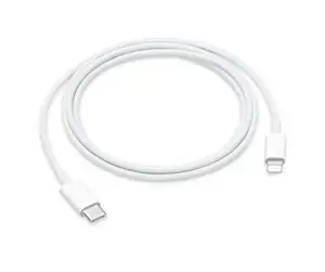 USB-C Į ŽAIBOLAIDĮ (1 M)