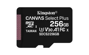 KINGSTON 256 GB microSDXC Canvas Select Plus 100R A1 C10 vienkartinė pakuotė be ADP