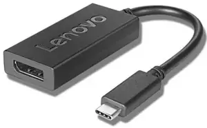 Lenovo 4X90Q93303, "DisplayPort" išvestis