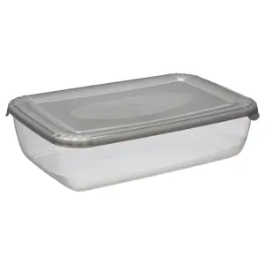 Šaldytuvo indas Polar, su dangteliu, PPR, 2,9 l, 29,3 x 19,5 cm, H 7,5 cm, vnt