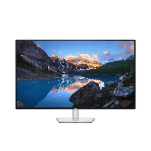 DELL UltraSharp U4323QE, 109,2 cm (43"), 3840 x 2160 taškų, 4K Ultra HD, LCD, 8 ms, sidabrinės spalvos